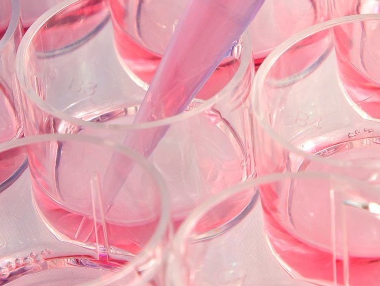 India: abolito il test di irritazione oculare (Draize test) sui conigli