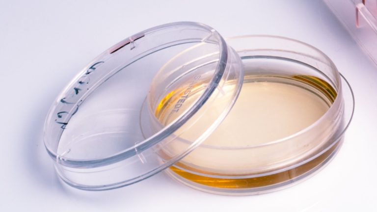 Zinco ossido come antimicrobico