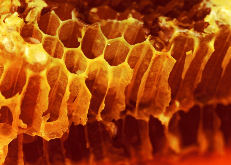 Propoli greca: pari alla quercitina come potere antiossidante