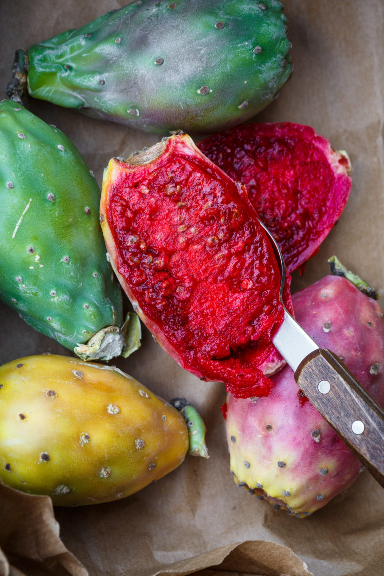 Dall’Opuntia un nuovo estratto idratante e protettivo