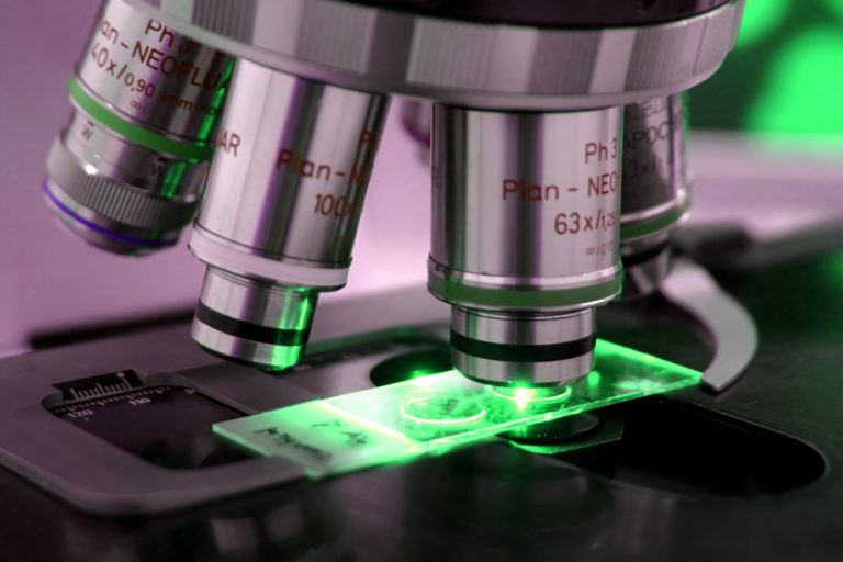 Collagene: allo studio le sue modificazioni con la spettroscopia di Raman