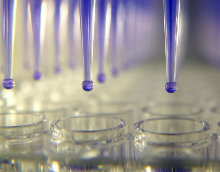 Guatemala: vietati i test animali in ambito cosmetico