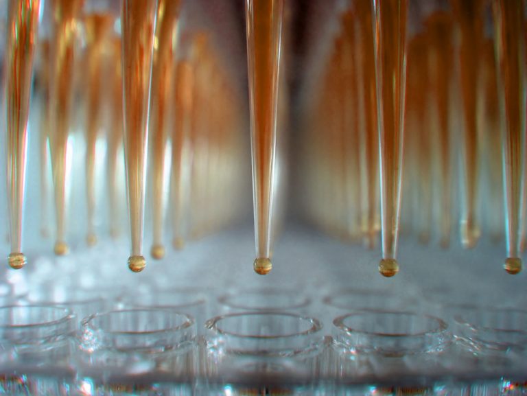 Il suono per stimolare l’aggregazione cellulare