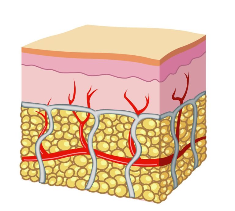 Assorbimento cutaneo di argento: un nuovo studio in vitro