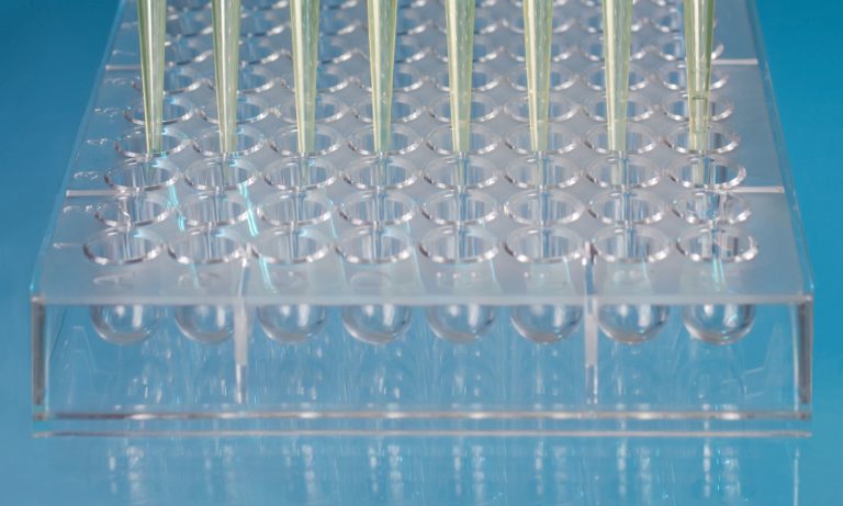 Studi in vitro per valutare la sicurezza di due filtri UV