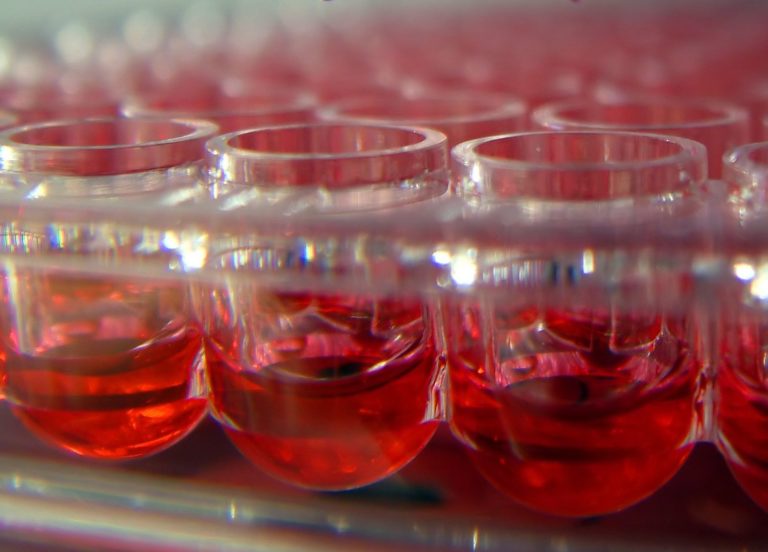 «Kinetin»: migliorare la funzione barriera della pelle