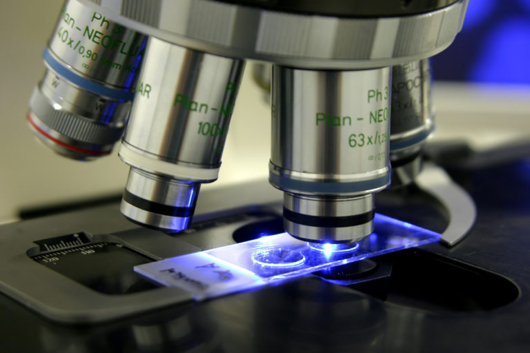 TiO2 nano: uno studio di tossicità