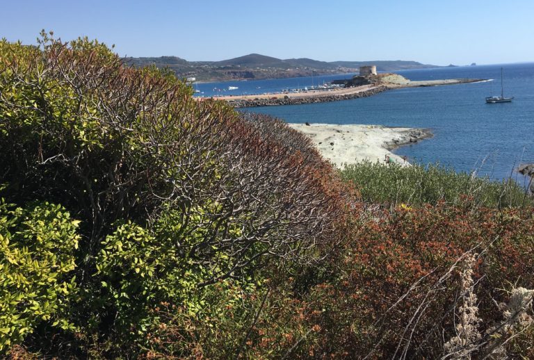 Cosmesi e Mediterraneo: il mare delle opportunità