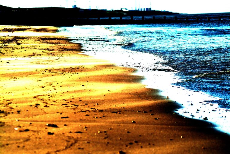 Una primavera profumata: il viaggio