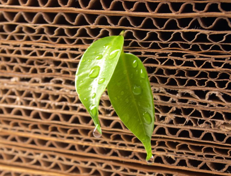 Un piano di sostenibilità in 4 punti