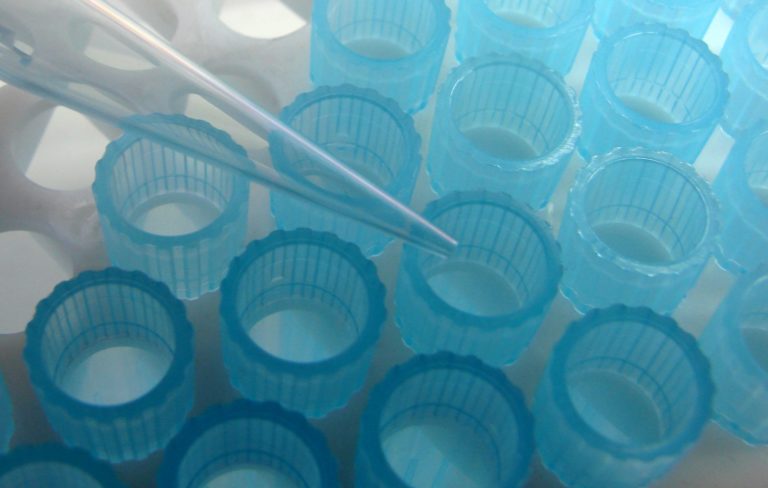 Fattori influenzanti le misure di SPF in vitro