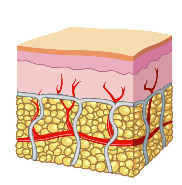 Potenziale cosmetico e dermatologico dell’idrolizzato di cheratina