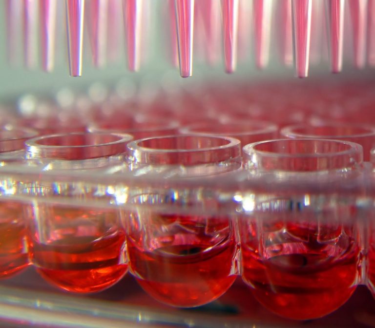 Coltura cellulare, Buone Pratiche e test in vitro