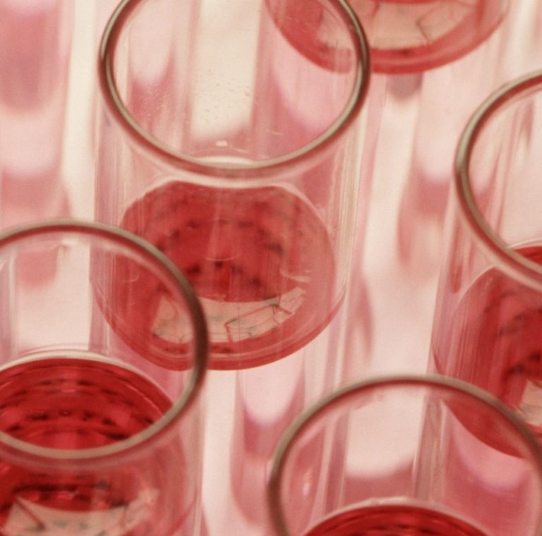 Nuovo metodo per produrre colori naturali per cosmetici