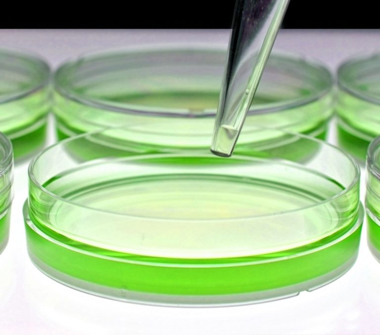 La chimica dell’assorbimento della pelle e la cosmetica