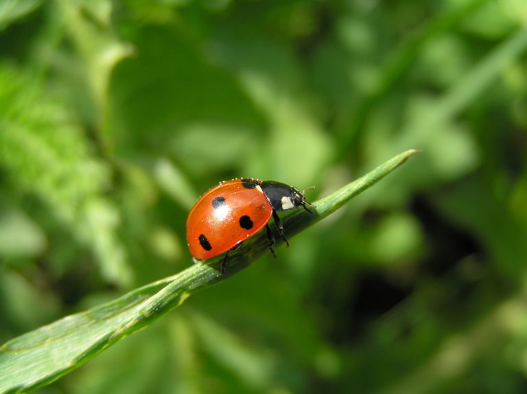 Presentati a Sustainable Beauty Awards