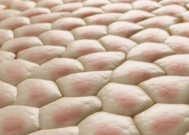 Valutazione della sicurezza nel mondo degli ingredienti attivi