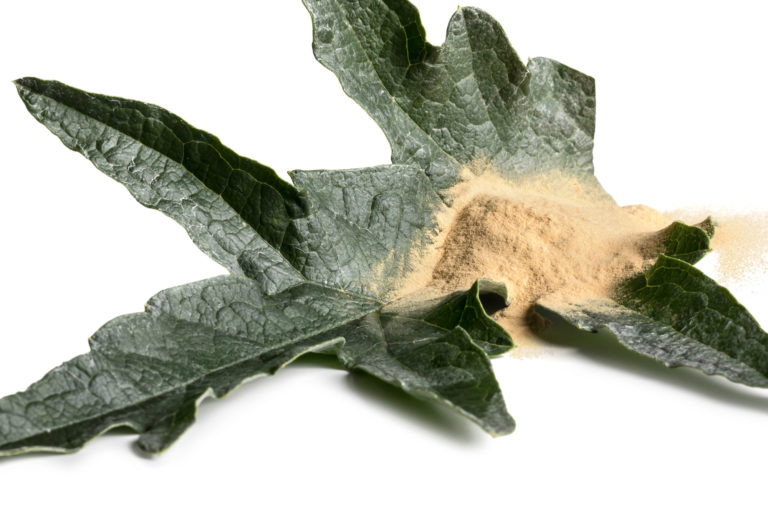 Fitosteroli e α-tocoferolo dall’olio di cardo