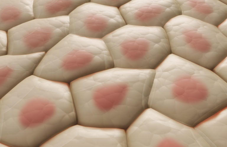 Valutazione di umidità e adesione degli ingredienti cosmetici