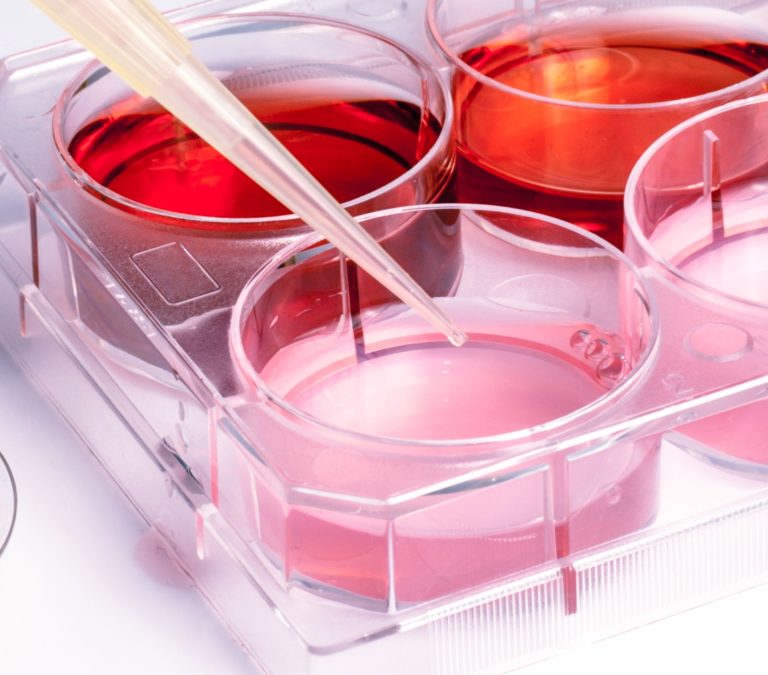 Un nuovo metodo per determinare la sensibilizzazione cutanea