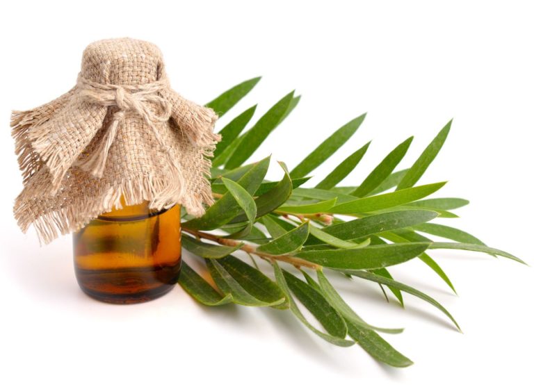 Tea tree oil nei prodotti cosmetici
