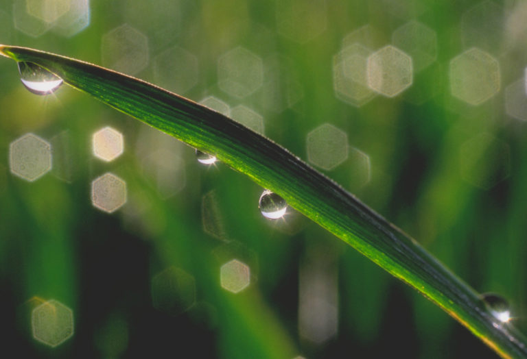 Crescita sostenibile e sfide del nuovo millennio