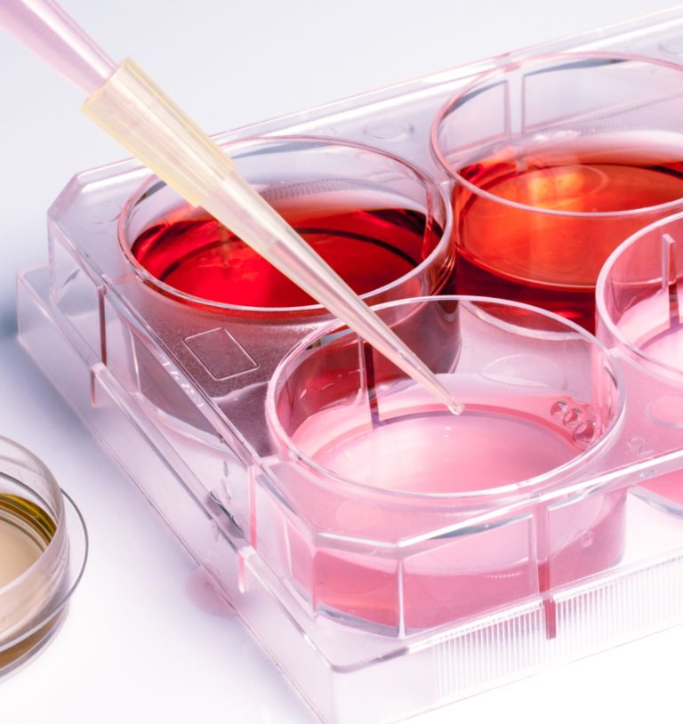 Arriva il New Generation Human Science Award 2017