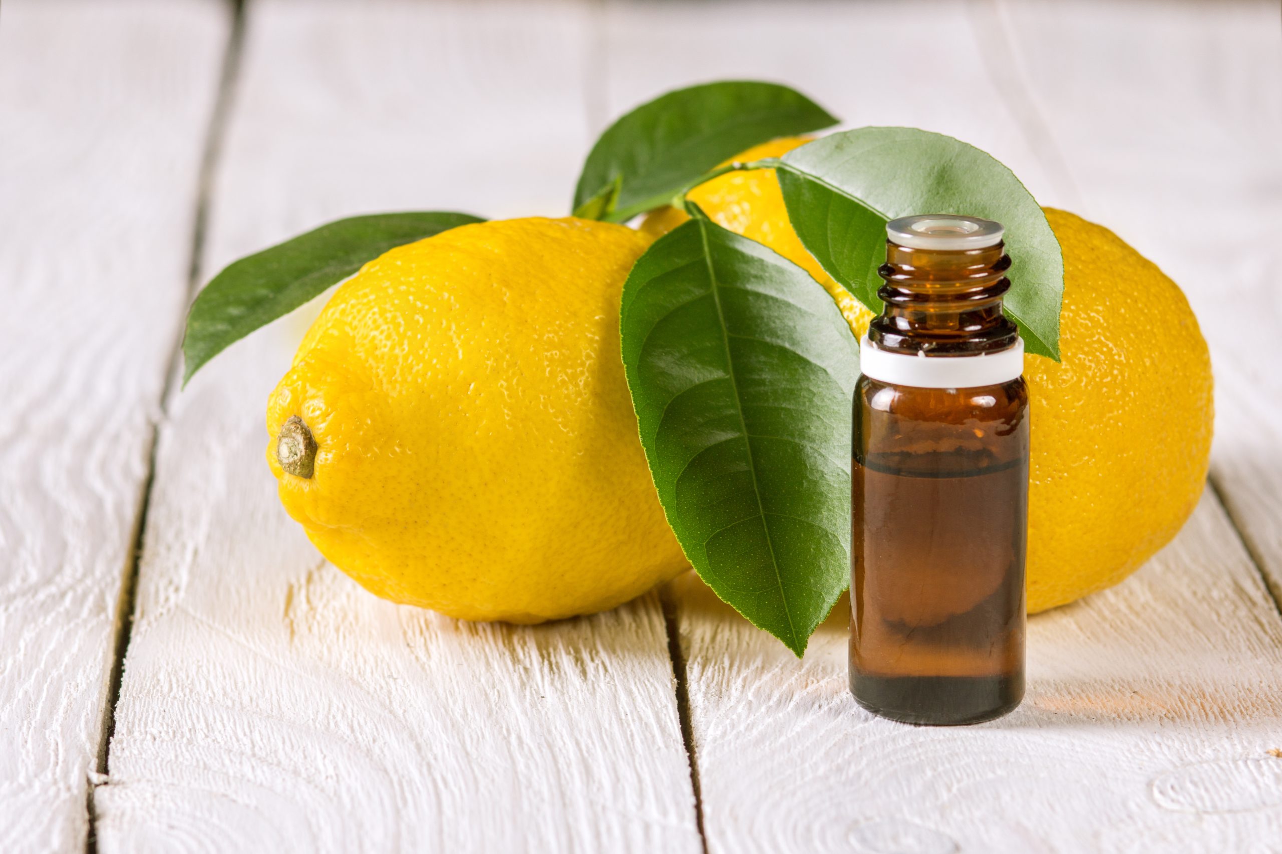 Sala Olio Essenziale Di Limone Biologico 100 Ml, Spremuto A Freddo, Puro, In Bottiglia Di Vetro, Origine Spagna/Italia
