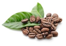 Bioattivi per nutricosmetici: focus sulla caffeina Ialurosomi con caffeina con potenziale antinvecchiamento cutaneo