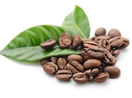 Bioattivi per nutricosmetici: focus sulla caffeina Ialurosomi con caffeina con potenziale antinvecchiamento cutaneo