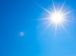 Analoghi sintetici di amminoacidi simili alle micosporine e gadusol per la fotoprotezione α-arbutina contro il fotodanneggiamento cutaneo indotto dai raggi UVA