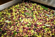 Acque reflue dei frantoi: potenziale cosmeceutico e dermatologico