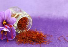 Agnès b., ritorno nel mondo della profumeria