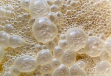 Fermentazione di precisione per ingredienti cosmetici sostenibili