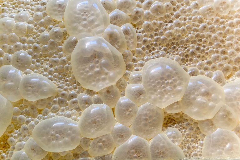 Fermentazione di precisione per ingredienti cosmetici sostenibili