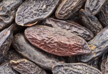 LMR (IFF) lancia l’estratto sostenibile di fava tonka LMR (IFF) lancia l'estratto sostenibile di fava tonka