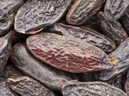 LMR (IFF) lancia l’estratto sostenibile di fava tonka LMR (IFF) lancia l'estratto sostenibile di fava tonka