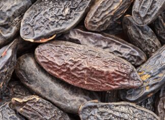 LMR (IFF) lancia l’estratto sostenibile di fava tonka LMR (IFF) lancia l'estratto sostenibile di fava tonka