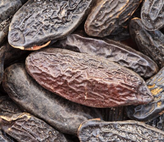 LMR (IFF) lancia l’estratto sostenibile di fava tonka LMR (IFF) lancia l'estratto sostenibile di fava tonka