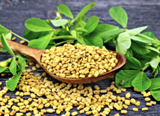 Fieno greco, un ingrediente cosmetico con benefici per pelle e capelli Fieno greco, un ingrediente cosmetico con benefici per pelle e capelli