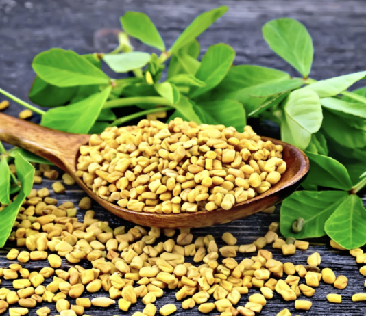 Fieno greco, un ingrediente cosmetico con benefici per pelle e capelli Fieno greco, un ingrediente cosmetico con benefici per pelle e capelli