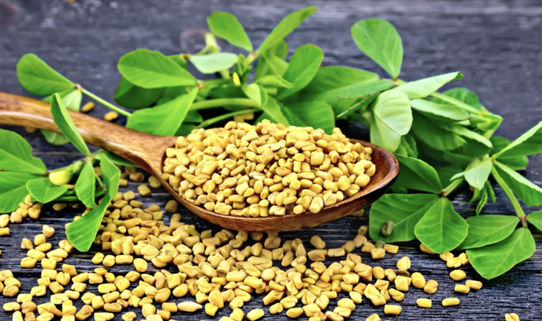 Fieno greco, un ingrediente cosmetico con benefici per pelle e capelli