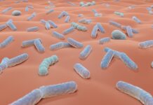 La relazione tra il microbioma cutaneo e gli ingredienti cosmetici La relazione tra il microbioma cutaneo e gli ingredienti cosmetici