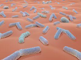 La relazione tra il microbioma cutaneo e gli ingredienti cosmetici La relazione tra il microbioma cutaneo e gli ingredienti cosmetici