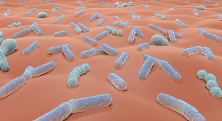 La relazione tra il microbioma cutaneo e gli ingredienti cosmetici
