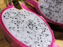 Pitaya e “sangue di drago” come potenziali ingredienti cosmetici Pitaya e “sangue di drago” come potenziali ingredienti cosmetici