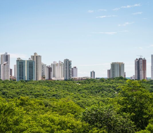 Dalle foreste urbane al cosmetico: potenziale bioattivo degli estratti di specie legnose Dalle foreste urbane al cosmetico: potenziale bioattivo degli estratti di specie legnose