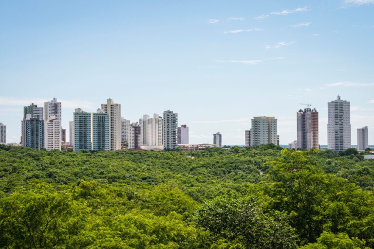 Dalle foreste urbane al cosmetico: potenziale bioattivo degli estratti di specie legnose