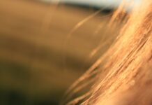 Radiazione solare e inquinamento: il danno ossidativo sui capelli Radiazione solare e inquinamento: il danno ossidativo sui capelli