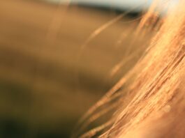 Radiazione solare e inquinamento: il danno ossidativo sui capelli Radiazione solare e inquinamento: il danno ossidativo sui capelli
